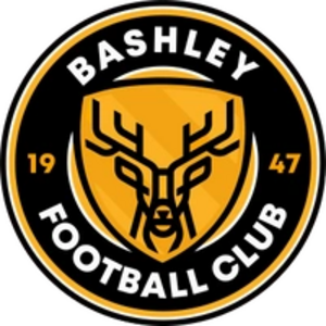 Bashley FC Afiliation