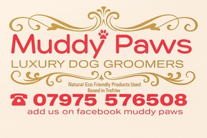 Muddy Paws