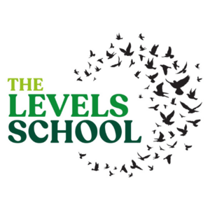 Levels