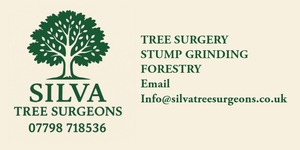 Silva Tree Surgeons