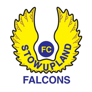 Stowupland Falcons
